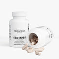 Sea Moss